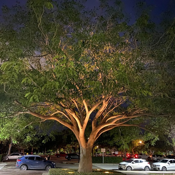 Meet your Posher, Martín - Picture 1 of 1